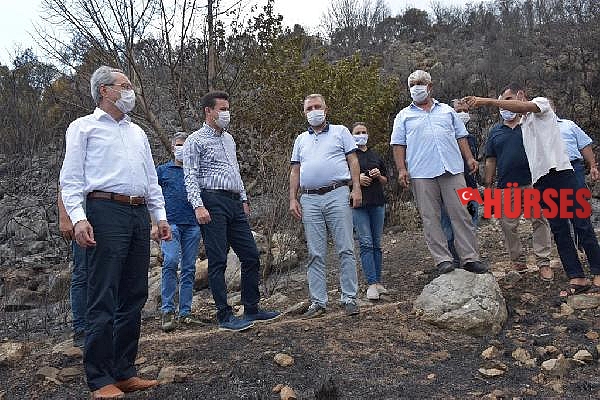 CHP'li Zeybek'ten orman yangınları önergesi