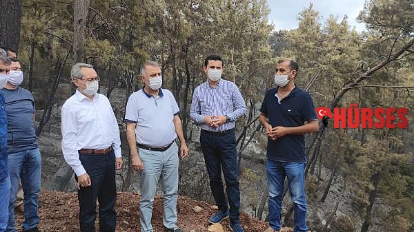 CHP'li Zeybek'ten orman yangınları önergesi