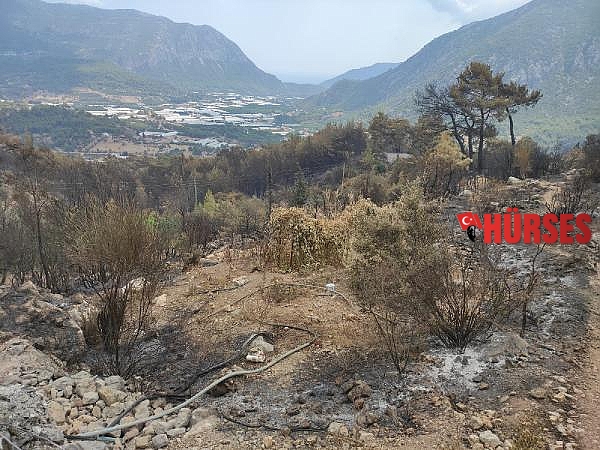 CHP'li Zeybek'ten orman yangınları önergesi