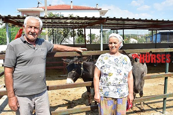 Eşek sütü ve sabununda talebe yetişemiyor