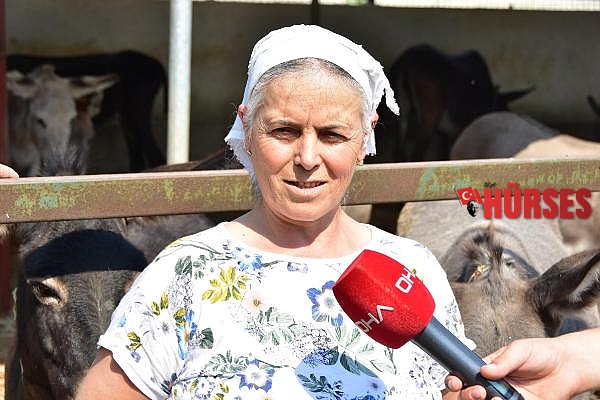 Eşek sütü ve sabununda talebe yetişemiyor