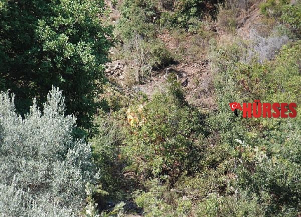 İş makinesiyle 200 metrelik uçurumdan yuvarlanan operatör öldü
