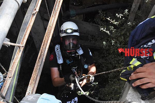 Kuyuya düşen kediye halatlı kurtarma operasyonu