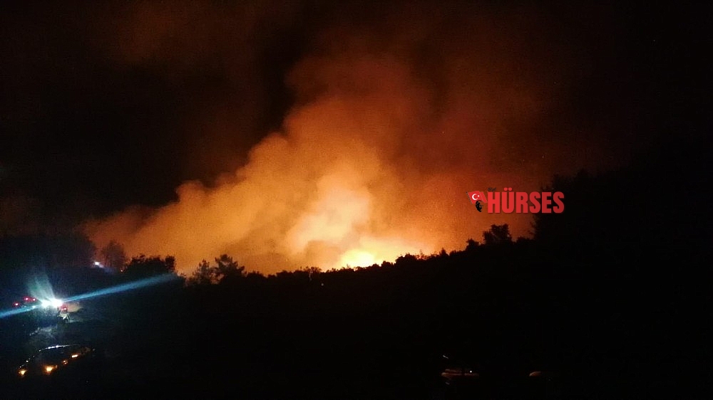 Manavgat'ta orman yangını