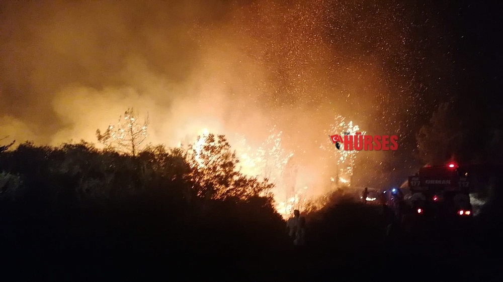 Manavgat'ta orman yangını