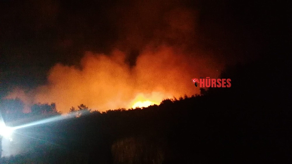 Manavgat'ta orman yangını
