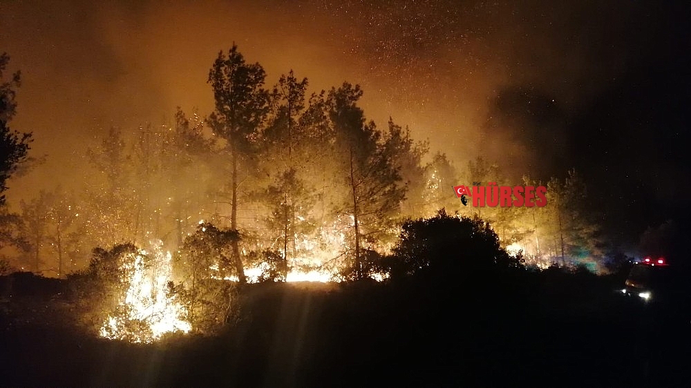 Manavgat'ta orman yangını