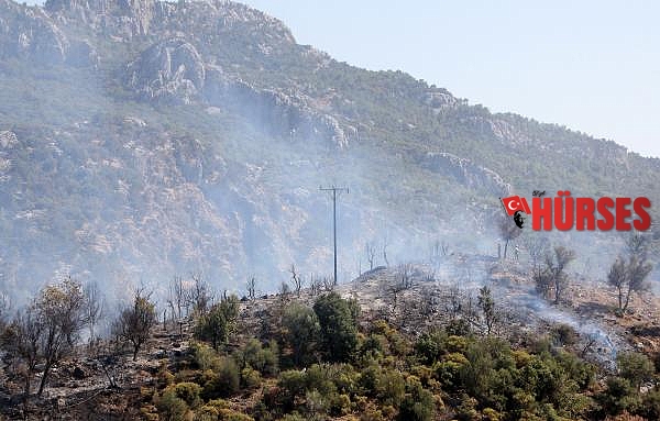 Serik'te orman yangını