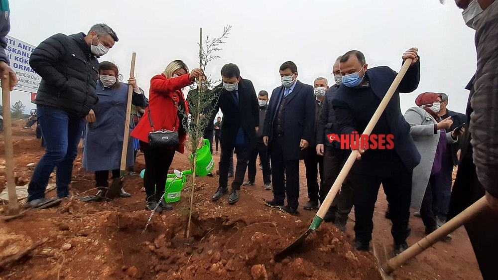 AK Parti'den İsmail Kökçe adına hatıra ormanı