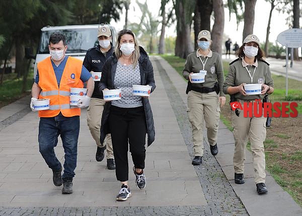 Büyükşehir ve Emniyet sokak hayvanlarını besledi