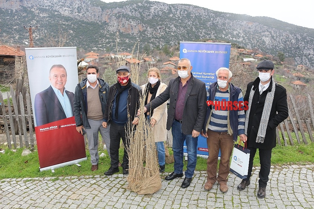 İbradı ipekböcekçiliği ile tanışıyor