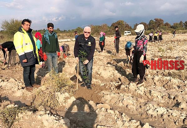 Kaş'ta sakız ormanı kuruluyor