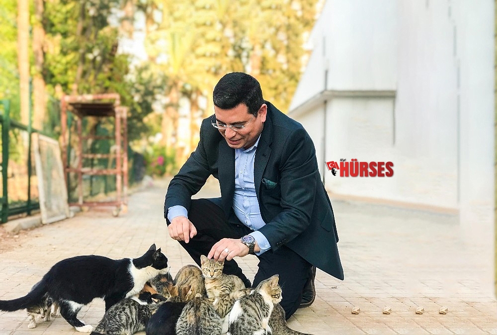 Kepez'de hayvan hastanesi açılacak