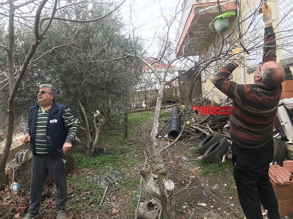 Kışın köye gelemeyen köylülerin evlerinin bakımını komşuları yapıyor