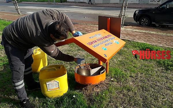Konyaaltı'nda can dostlar unutulmuyor