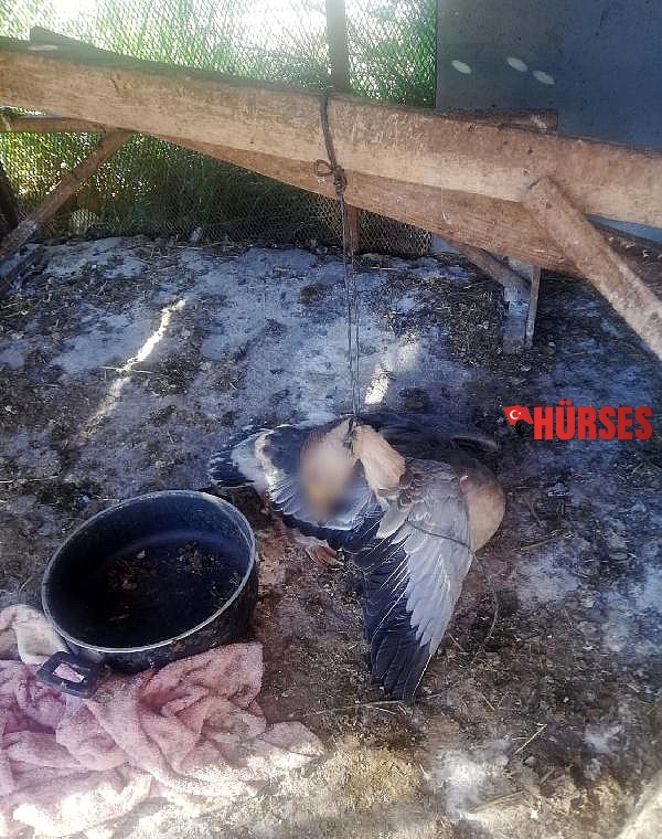 Kazını kümeste asılı buldu, komşusunu suçladı