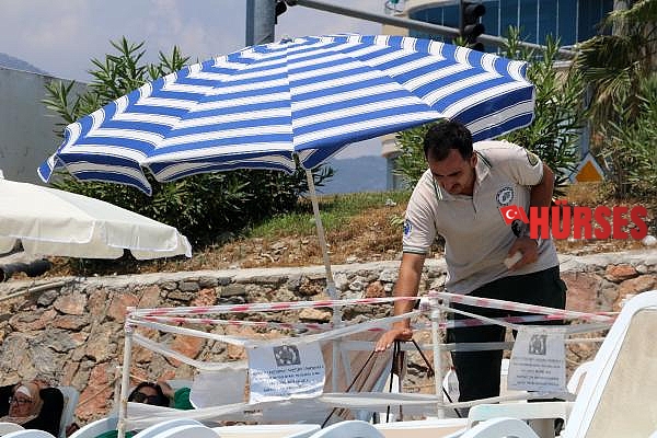 Alanya'da caretta carettalar şezlongların arasına bile yuva yapıyor