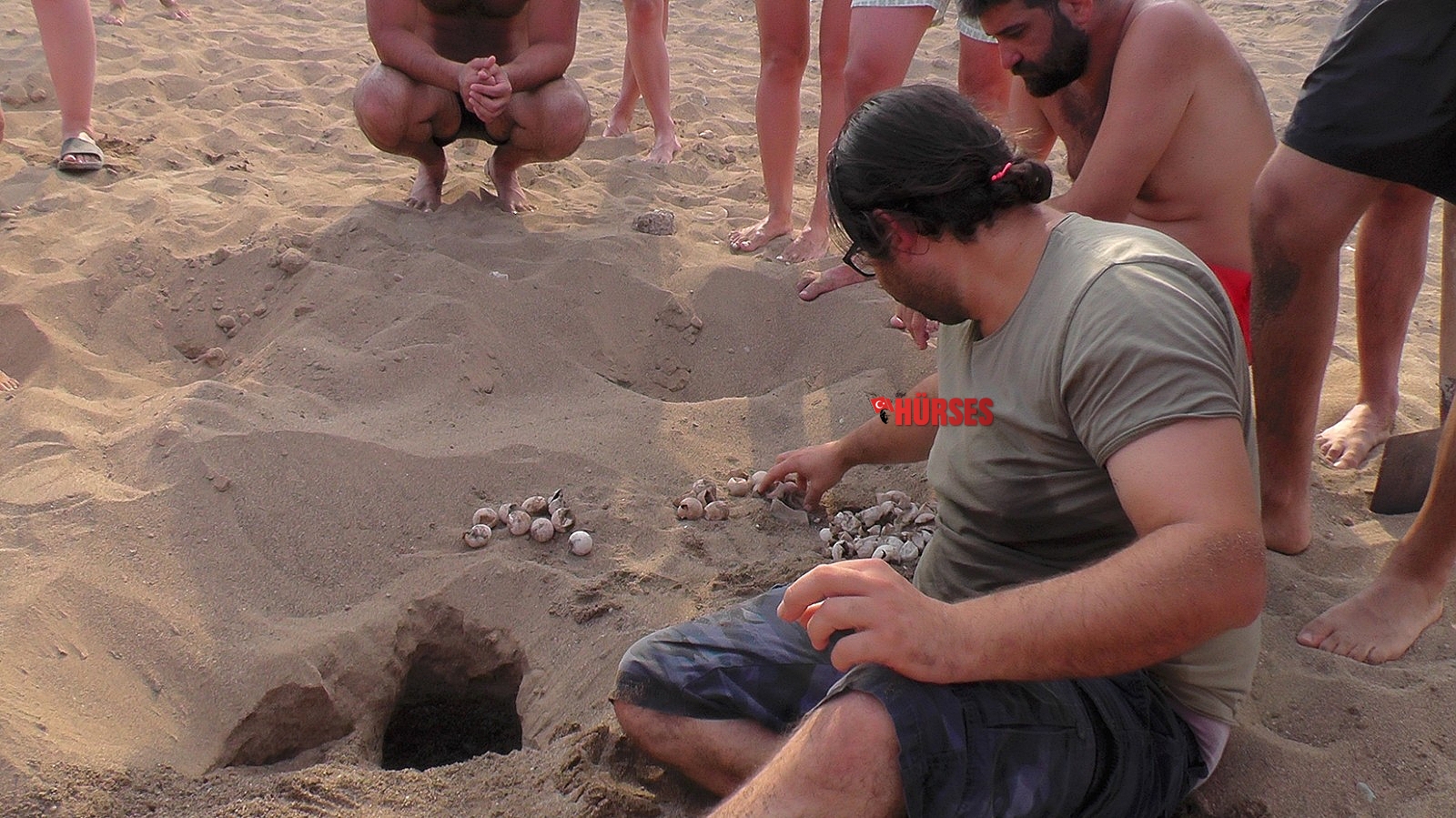 Kemer'de yeni caretta caretta yuvaları koruma altına alındı