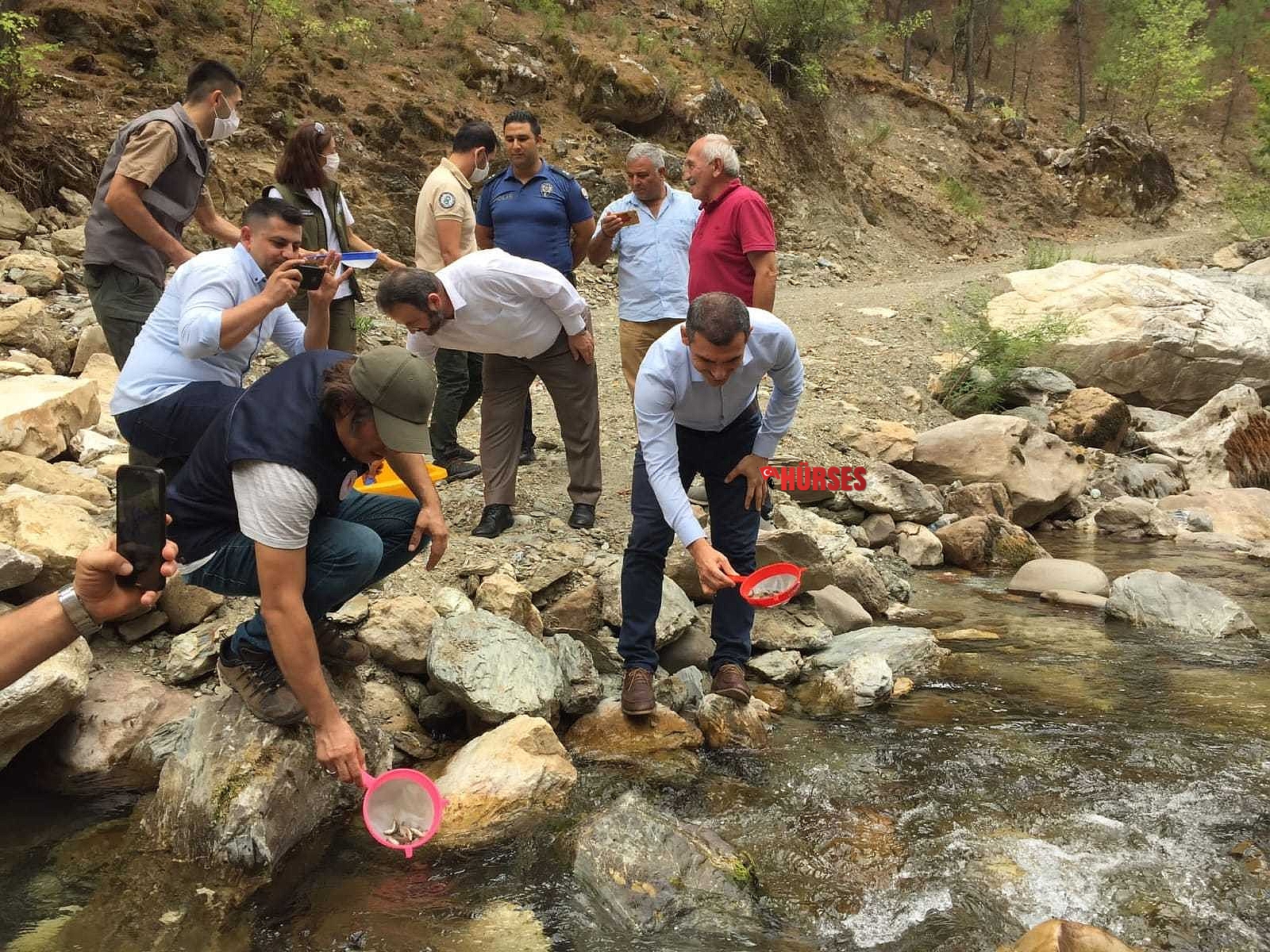 Antalya'da Alara Çayı'na 4 bin adet kırmızı benekli alabalık bırakıldı