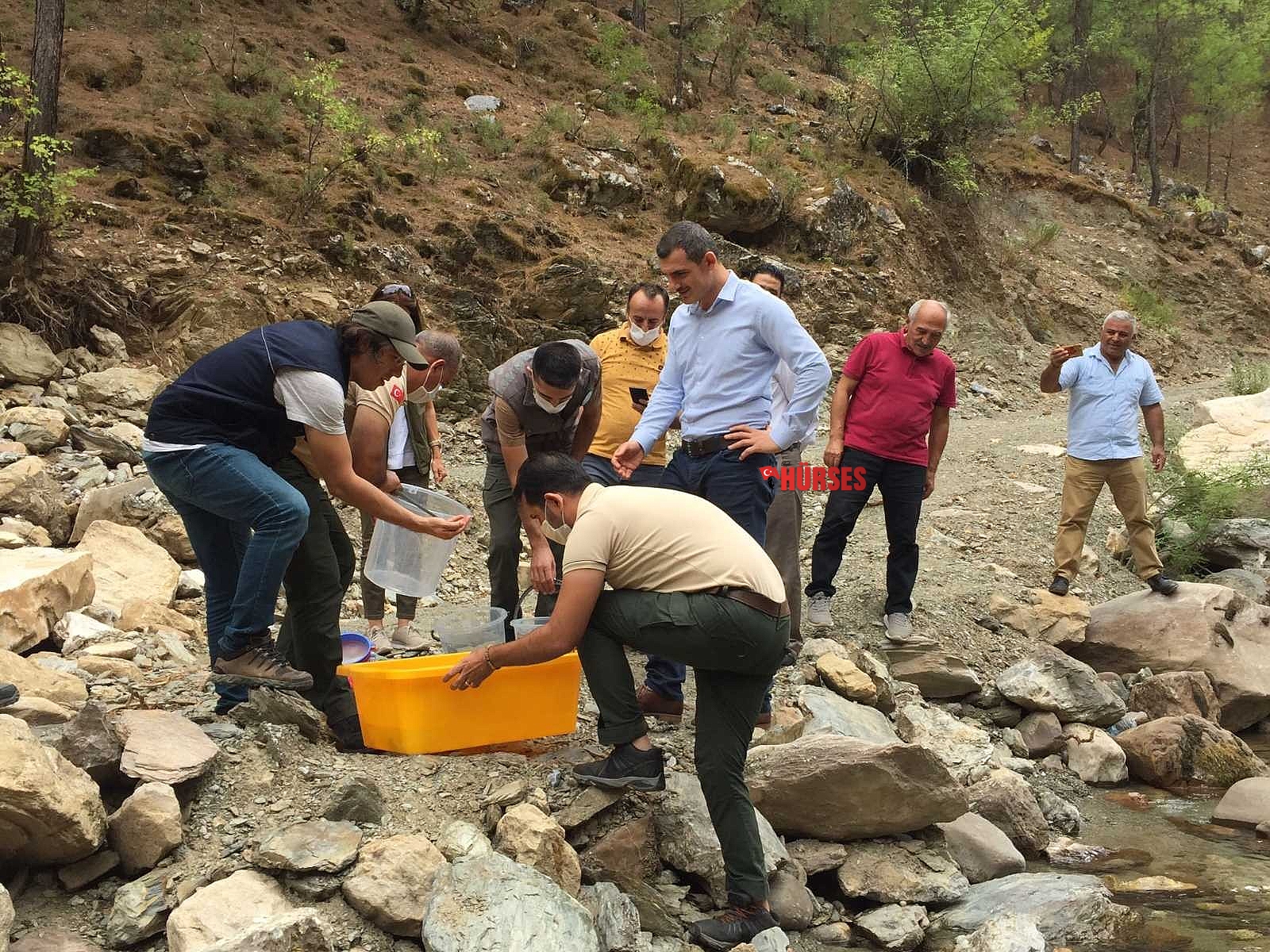 Antalya'da Alara Çayı'na 4 bin adet kırmızı benekli alabalık bırakıldı