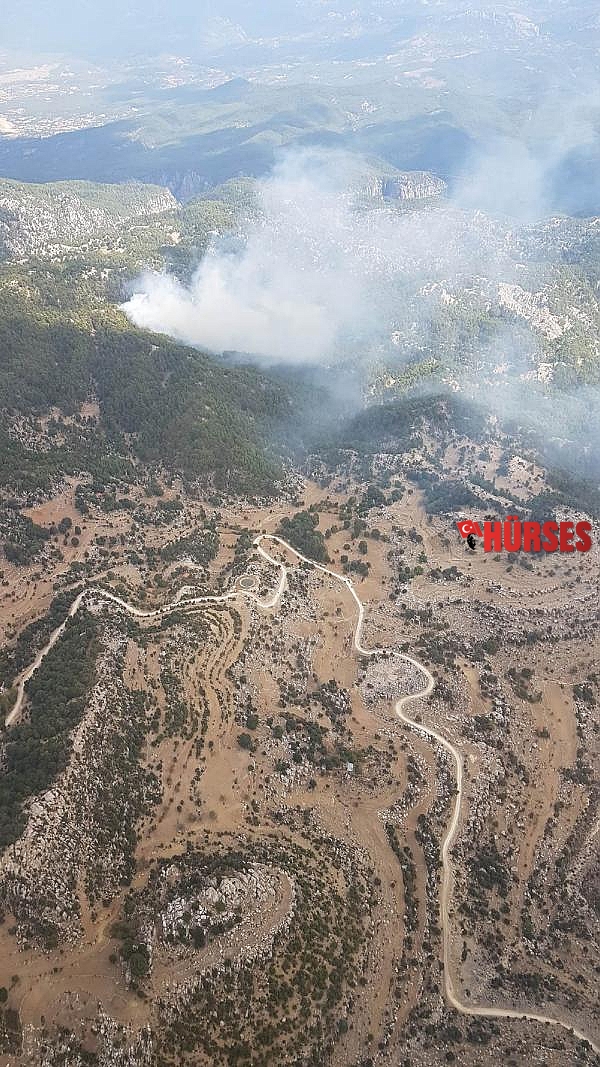 Manavgat'ta orman yangını; 5 saatte kontrol altına alındı - Yeniden