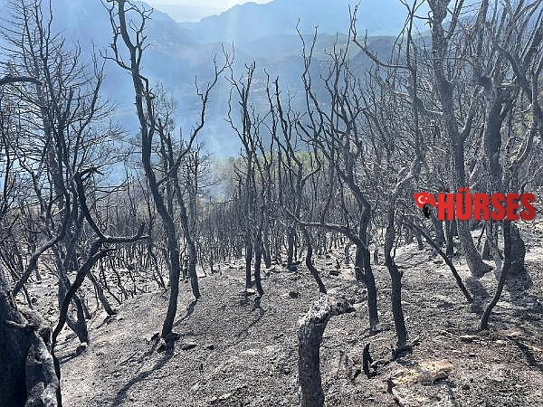 Başkan Esen, orman yangını bölgesinde