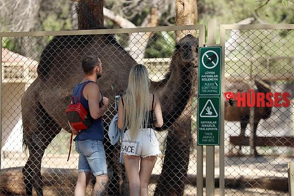 Hayvanat Bahçesi'nde hedef 1 milyon ziyaretçi