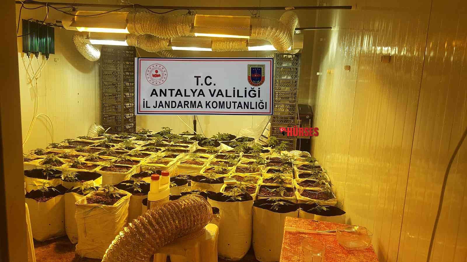 Konteyneri uyuşturucu serasına dönüştürmüşler