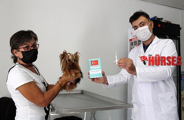 Köpekler 2021, kediler 2022 sonuna kadar çiplenecek