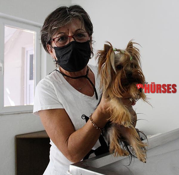 Köpekler 2021, kediler 2022 sonuna kadar çiplenecek