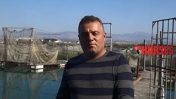 Üretim tesisinde 4 günde 13 bin alabalık öldü