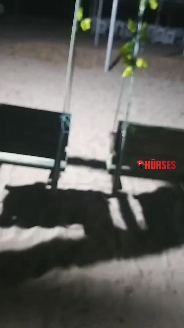 Antalya'daki korkutan depremin ardından hayat normal döndü
