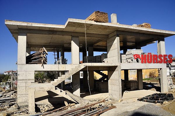 Manavgat'ta yanan ormanlar, yeşeren tohumlarla can buluyor