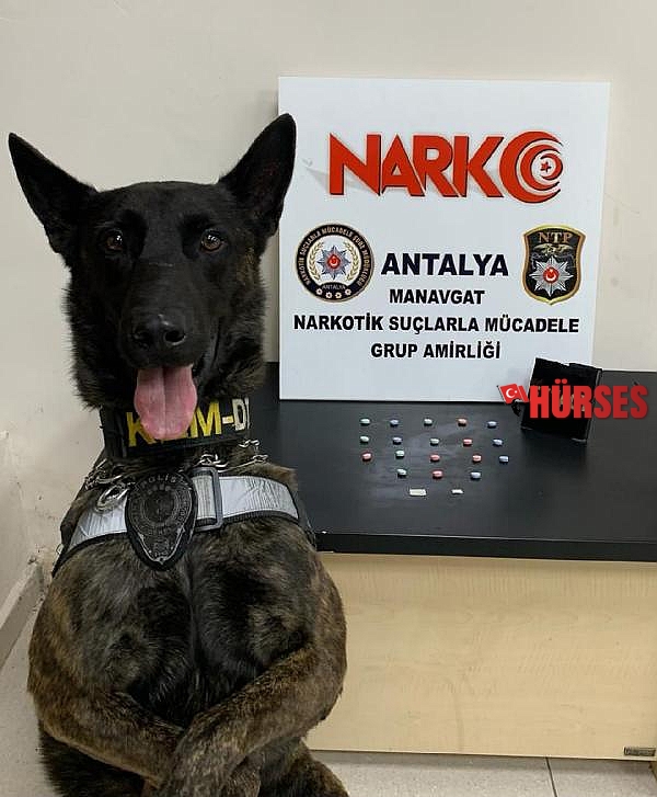 Pars uyuşturucuya geçit vermiyor
