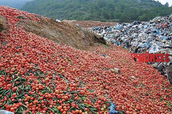 Sofraya uygun olmayan çöpteki sebzelerin paylaşımına suç duyurusu