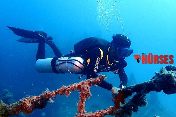 Su altındaki mikro canlıları fotoğrafladı