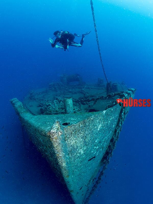 Su altındaki mikro canlıları fotoğrafladı