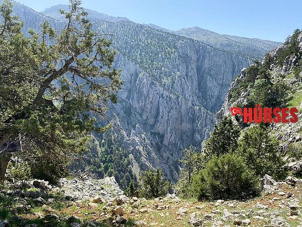 Tokalı Kanyonu'nda 3 tür akbaba görüntülediler