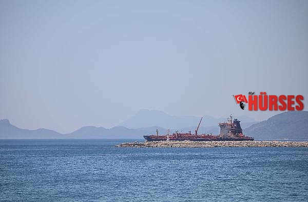 Sıcak hava Antalya'yı kavurdu; hayvanlar buzlu meyve ve fıskiyeyle serinletildi