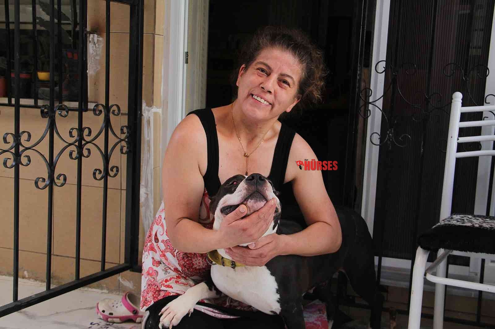 Uyutulmak istenen köpeğe kıyamadı, komşusuyla karakolluk oldu