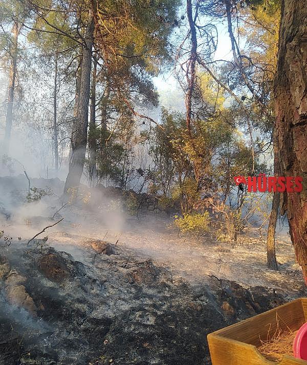 Burdur'da orman yangını
