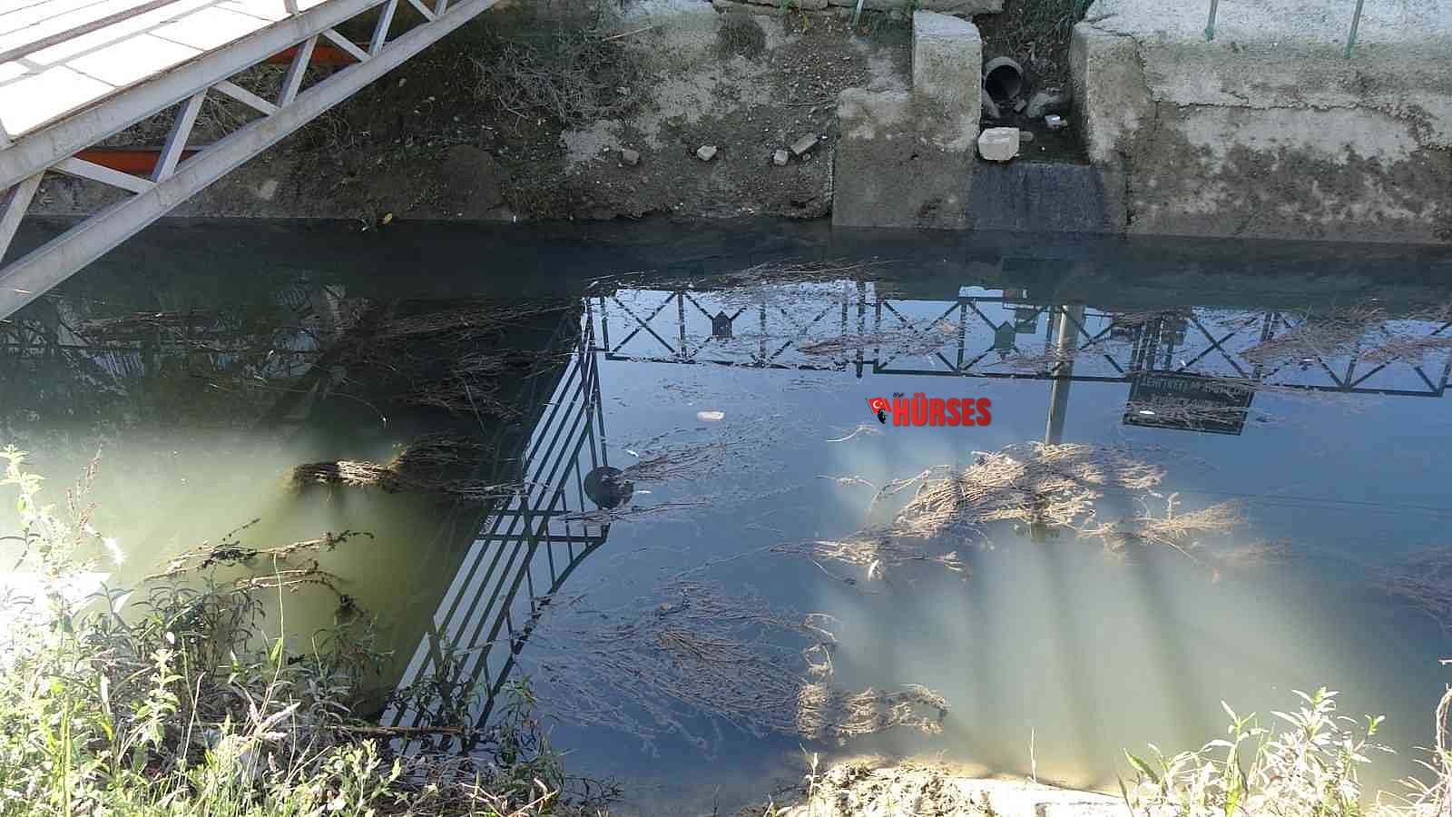 Manavgat'ta sulama kanalında balık ölümleri