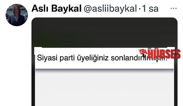 Aslı Baykal, CHP'den istifa etti