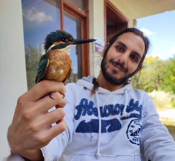 'Kuşları öldüren havai fişekler yasaklansın' kampanyası
