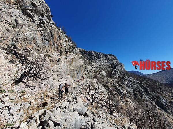 Tarihi kervan yolunu, tomruk araçları tahrip etti