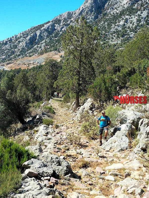 Tarihi kervan yolunu, tomruk araçları tahrip etti
