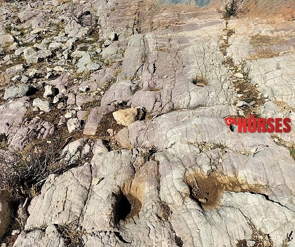 Tarihi kervan yolunu, tomruk araçları tahrip etti