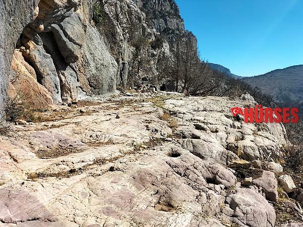 Tarihi kervan yolunu, tomruk araçları tahrip etti