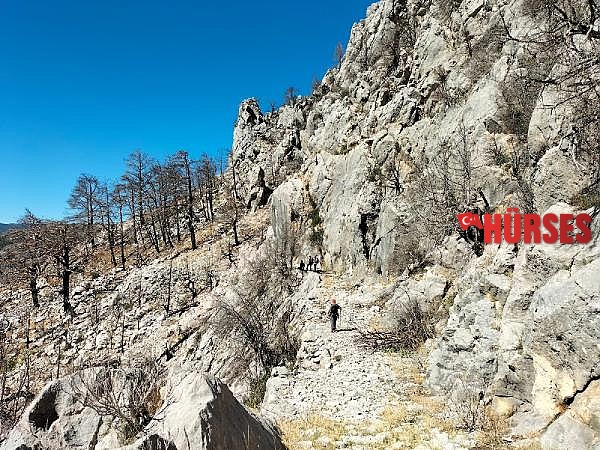 Tarihi kervan yolunu, tomruk araçları tahrip etti