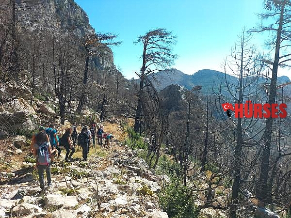 Tarihi kervan yolunu, tomruk araçları tahrip etti